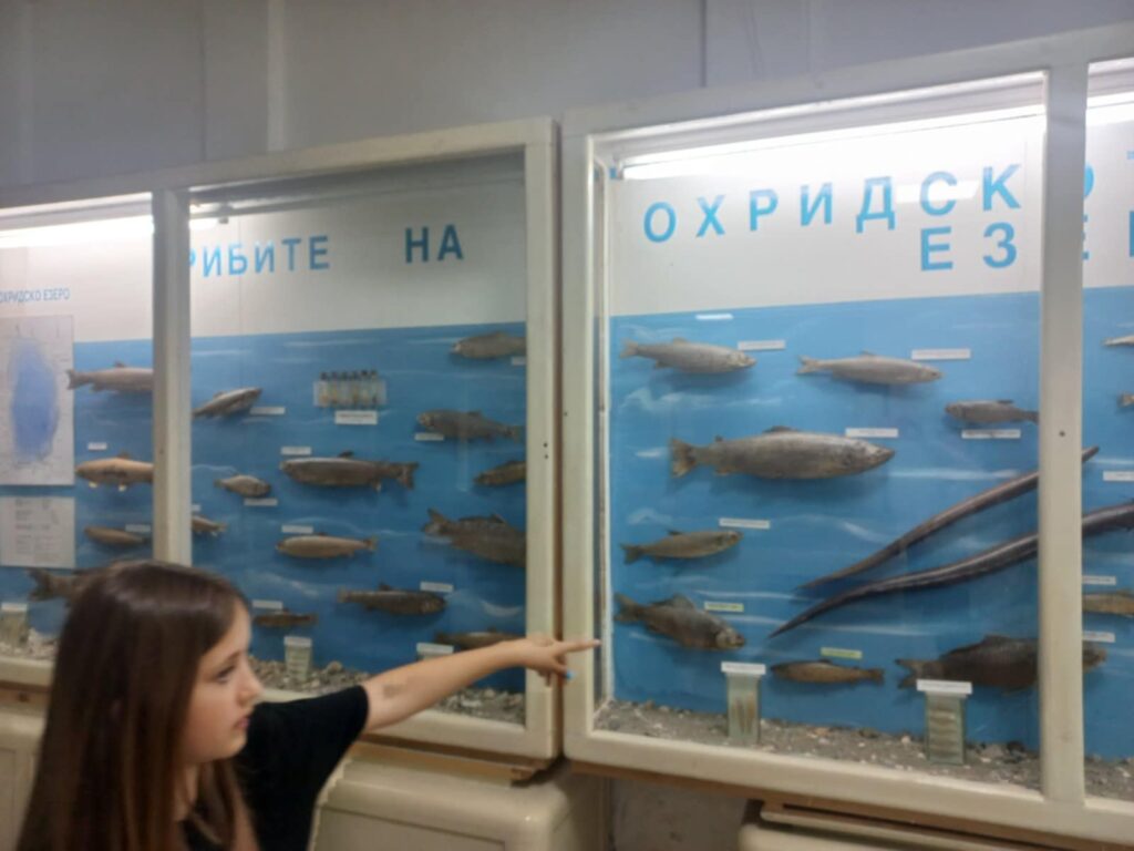 Настава во природа Учениците од 5 одд во периодот од 22.4.2025 до 26.4.2025