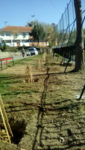 viber_image_2019-11-05_18-58-34
